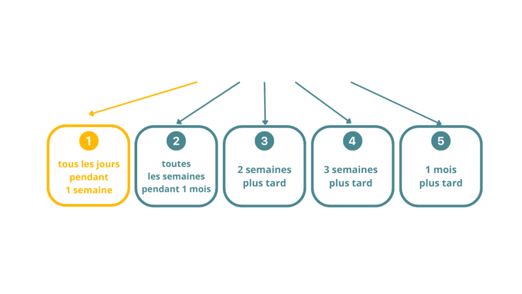 la methode elephant comment ca marche 1 1.png